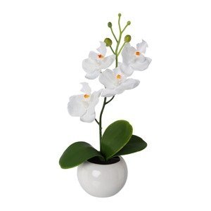 Gasper Umělá květina Orchidej v keramickém květináči, bílá, 21 cm