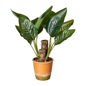 Gasper Umělá rostlina Filodendron, 45 cm