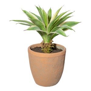 Gasper Umělá rostlina Agáve, 35 cm
