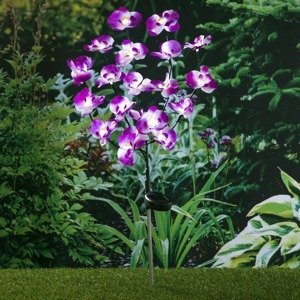 Haushalt international Solární zahradní zápich Orchidej