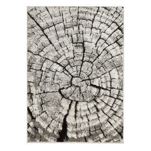 Kusový koberec PHOENIX 6021-0244 120x170 cm