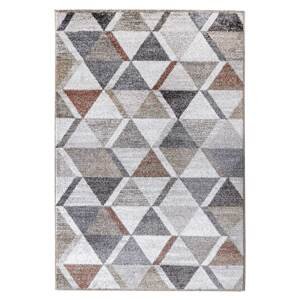 Kusový koberec Mondo 56/EHB 160x230 cm