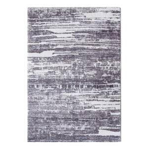 Kusový koberec Toscana 49/LWL 80x150 cm