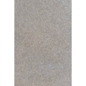 Metrážny koberec Budget 891 - Zvyšok 240x400 cm