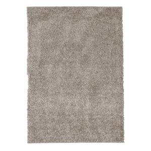 Kusový koberec TOP SHAGGY 1500 beige 120x170 cm