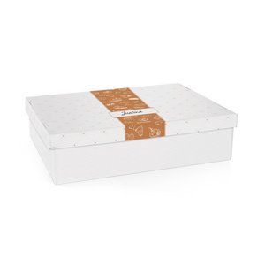 Tescoma krabica na sladkosti a lahôdky DELÍCIA, 40 x 30 cm