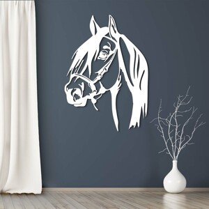 Drevený obraz na stenu - Kôň, Biela