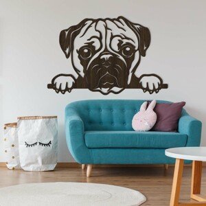 Moderný obraz na stenu - Pes Mops, Wenge