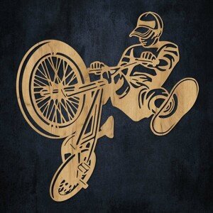Drevený obraz na stenu - Street cyklista, Dub zlatý