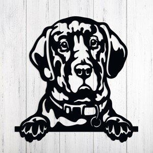 Drevený obraz pes na stenu - Labrador