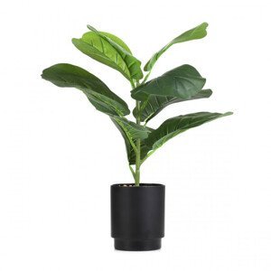 Umelá rastlina SEMELA fikus 875071 43 cm