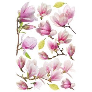 Samolepiaca dekorácia Magnolia Flowers, 42,5 x 65 cm