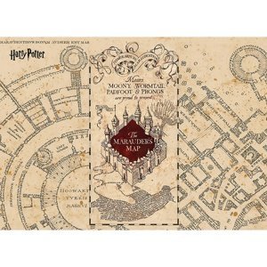 Detská fototapeta Harry Potter Marauders Map 252 x 182 cm, 4 diely