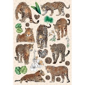 Samolepiaca dekorácia Tigers, 42,5 x 65 cm