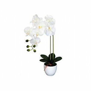 Umelá orchidea v kvetináči 7 kvetov, 55 cm, biela