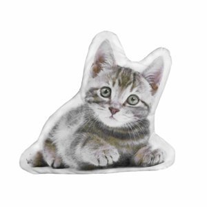 Forbyt Tvarovaný 3D vankúšik Mačička, 35 x 25 cm