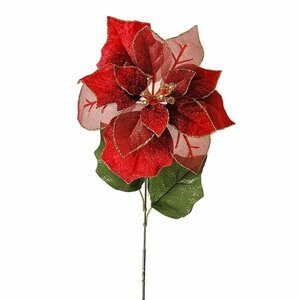 Vianočná ruža červená, 55 cm