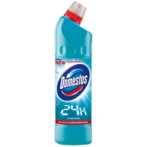 Domestos 24h Atlantic Fresh 750 ml