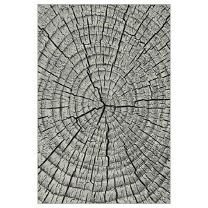 Sconto Koberec KOLIBRI 4 sivé drevo, 120x170 cm