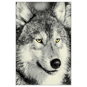 Sconto Koberec KOLIBRI 5 vlk sivý, 133x190 cm