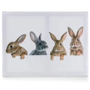 Sconto Obraz na plátne RABBITS 40x30 cm, motív zajačikovia