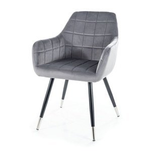 Sconto Jedálenská stolička NEXI sivá/čierna