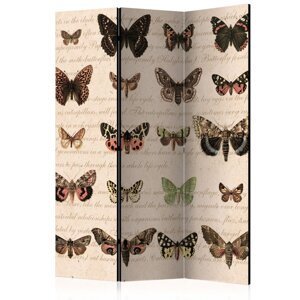 Paraván Retro Style: Butterflies Dekorhome 135x172 cm (3-dielny),Paraván Retro Style: Butterflies Dekorhome 135x172 cm (3-dielny)
