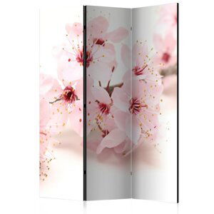 Paraván Cherry Blossom Dekorhome 135x172 cm (3-dielny),Paraván Cherry Blossom Dekorhome 135x172 cm (3-dielny)