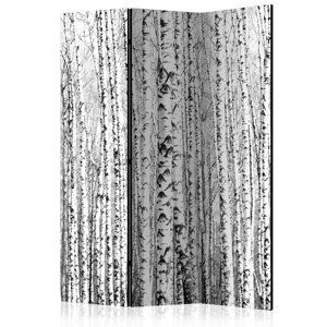 Paraván Birch forest Dekorhome 135x172 cm (3-dielny),Paraván Birch forest Dekorhome 135x172 cm (3-dielny)