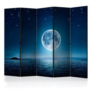 Paraván Moonlit night Dekorhome 225x172 cm (5-dielny),Paraván Moonlit night Dekorhome 225x172 cm (5-dielny)