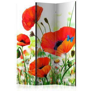 Paraván Country poppies Dekorhome 135x172 cm (3-dielny),Paraván Country poppies Dekorhome 135x172 cm (3-dielny)