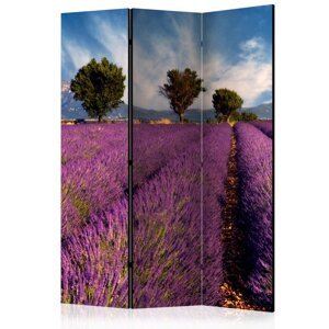 Paraván Lavender field in Provence, France Dekorhome 135x172 cm (3-dielny),Paraván Lavender field in Provence, France Dekorhome 135x172 cm (3-dielny)