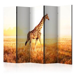 Paraván giraffe - walk Dekorhome 225x172 cm (5-dielny),Paraván giraffe - walk Dekorhome 225x172 cm (5-dielny)