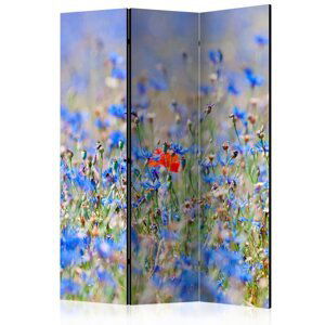 Paraván A sky-colored meadow - cornflowers Dekorhome 135x172 cm (3-dielny),Paraván A sky-colored meadow - cornflowers Dekorhome 135x172 cm (3-dielny)