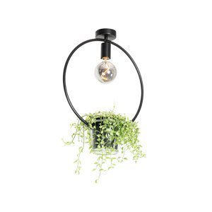 Moderné stropné svietidlo čierne so skleneným okrúhlym - Roslini