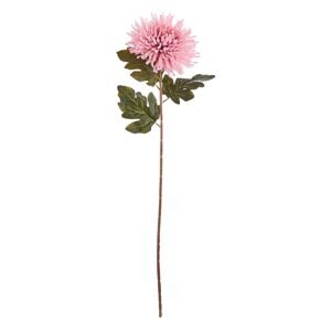 FLORISTA Chryzantéma 73 cm - ružová