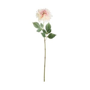 FLORISTA Dahlia 64 cm - krémová/ružová