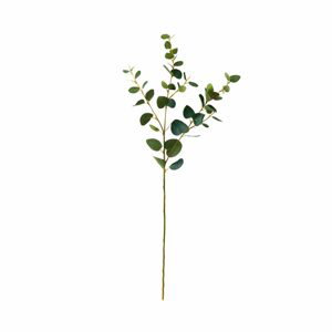 FLORISTA Vetvičky eukalyptusu set 4 ks - zelená