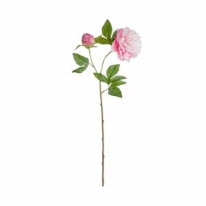 FLORISTA Pivoňka 71 cm - sv.ružová
