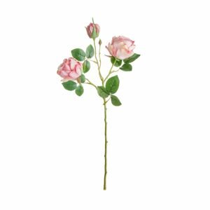 FLORISTA Ruža vetvička - sv.ružová