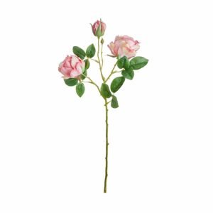 FLORISTA Ruža vetvička - ružová