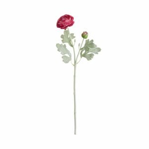 FLORISTA Iskerník 50 cm - ružová