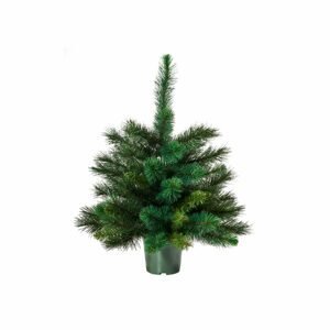 TREE OF THE MONTH Vianočný stromček 60 cm - zelená