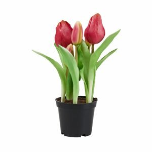 FLORISTA Tulipány "Real Touch" v kvetináči - ružová