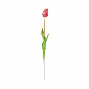 FLORISTA Tulipán 47 cm - ružová