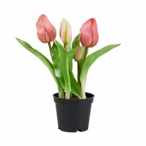FLORISTA Tulipány "Real Touch" v kvetináči - sv. ružová