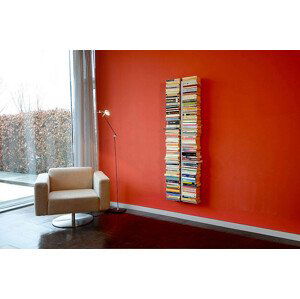 Radius design cologne Knižnica 16 poličiek RADIUS DESIGN (BOOKSBAUM silber  WAND 1 GROSS 721C) strieborná