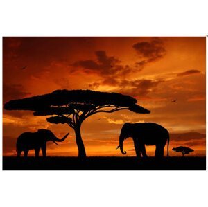 Obraz na plátne 50x70cm AFRIKA SLONY oranžovo-čierny