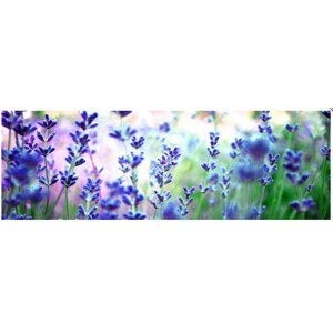 Obraz na plátne 45x140cm POLE KVETOV modro-zelený