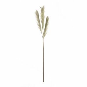Dekoria Pampová tráva 110cm green, 2 x 2 x 110 cm